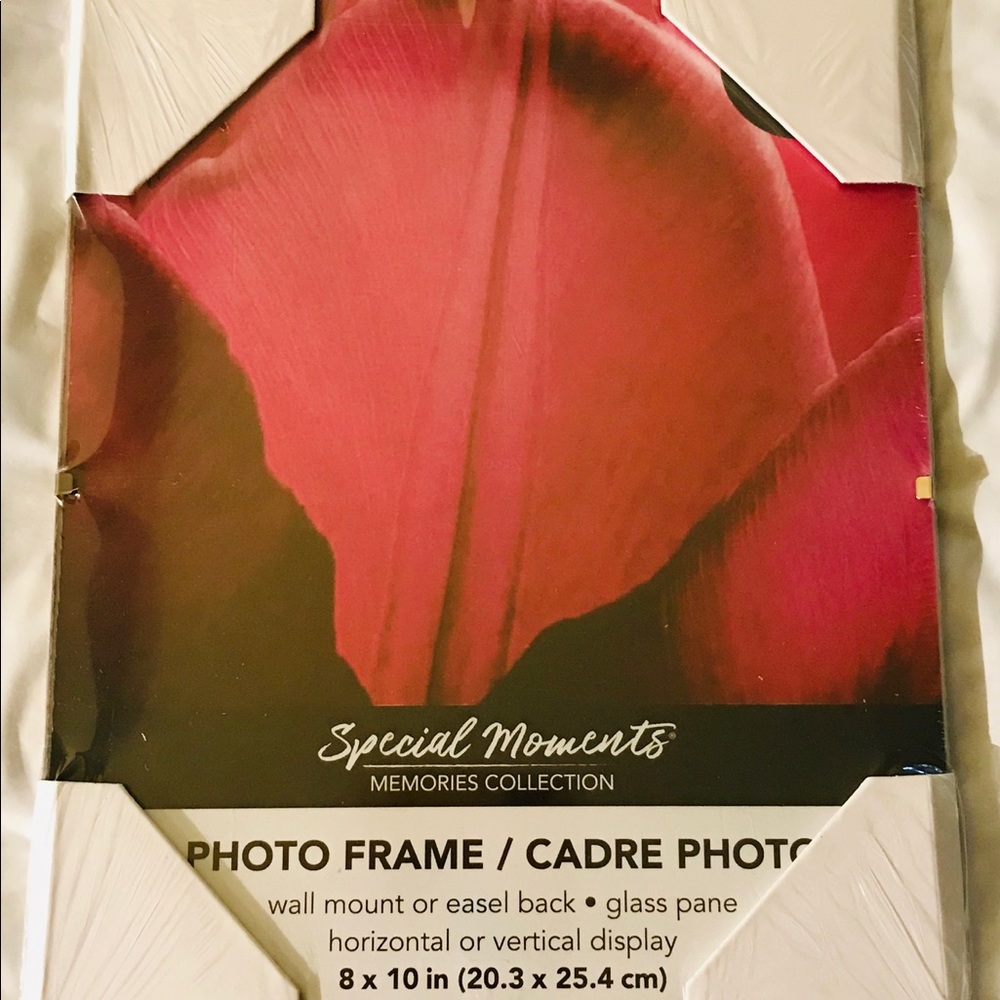 8 X 10 Glass Pane Photo Frame
